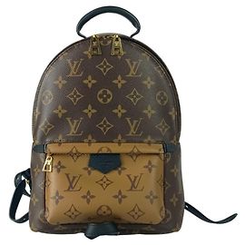 Mochila Louis Vuitton Palm Springs PM Castaño