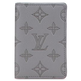 Louis Vuitton Organizer de Poche Card Case Gris