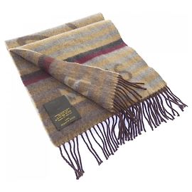 Louis Vuitton Echarpe Trunk Stripe Scarf Brown