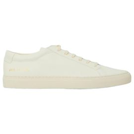 Common Projects Baskets Off white Achilles Premium Blanc