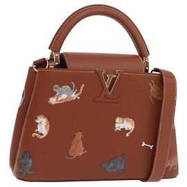 LOUIS VUITTON Sac à main 2 voies Catgram Capucine BB Marron M25874 LV Auth 167633SM Marron