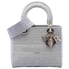 Dior Gray Medium Embroidered Canvas Cannage Lady D Lite Castaño