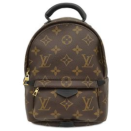 Louis Vuitton Monogram Mini Palm Springs Rucksack Braun Braun