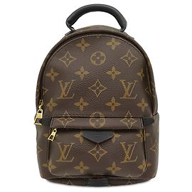 Louis Vuitton Brown Monogram Mini Palm Springs Castaño