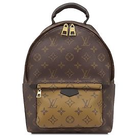 Louis Vuitton Brown Monogram Reverse Palm Springs PM Marron
