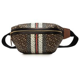 Bolso cinturón Burberry Brown TB Monogram E Canvas Stripe Sonny Castaño