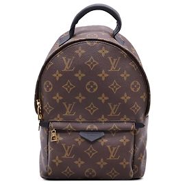 Louis Vuitton Brown Monogram Palm Springs PM Marrone