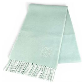 Estola de lã e cashmere Loewe Verde