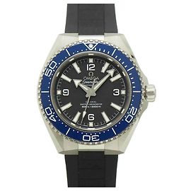 Omega Seamaster Planet Ocean 600M Men's Watch Other