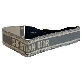 Cintura Christian Dior Grigia Marrone