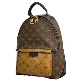 Mochila Louis Vuitton Monogram Reverse Palm Springs PM Castaño