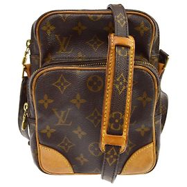 Louis Vuitton Amazone Monogram Canvas Mini Marrone