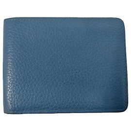Louis Vuitton Multiple Taiga Leather Blau