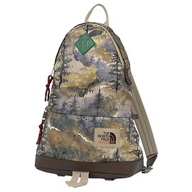 Gucci x The North Face Collaboration Backpack Multiple colors Beige