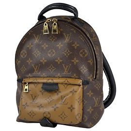 Louis Vuitton Palm Springs Backpack PM Brown