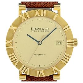 Autre Marque Tiffany & Co. Atlas M6930 Men's Watch Other
