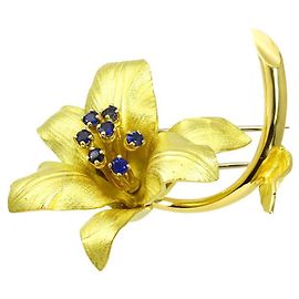 Autre Marque Spilla Tiffany & Co. in oro giallo 18K e zaffiro Altro