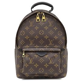 Louis Vuitton Brown Monogram Palm Springs PM Castaño
