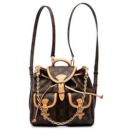 Louis Vuitton Brown Monogram Excursion PM Marron