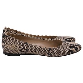 Chloé Snakeskin-Embossed Scalloped Ballet Flats in Beige Leather Beige