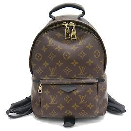 Louis Vuitton Palm Springs Backpack PM Monogram