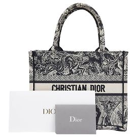 Dior Book Tote Small Shopper Braun