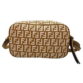 Fendi Borsa a tracolla Camera Case Raffia Singilia Mini Marrone