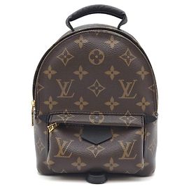 Louis Vuitton Palm Springs Mini Backpack Year Condition Brown