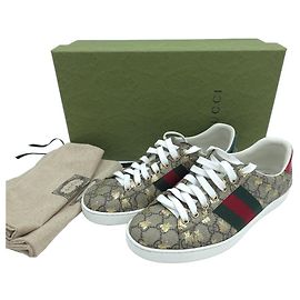 Gucci Baskets Ace Beige Brown Marron