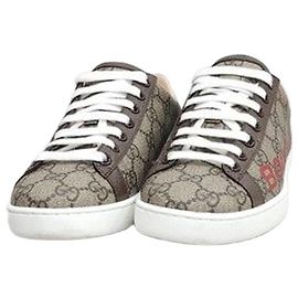 Baskets Gucci en cuir vert Vert