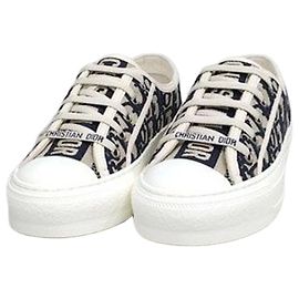 Dior Work and Oblique Sneaker Braun