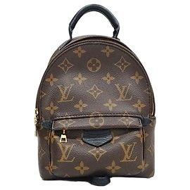 Louis Vuitton Mochila Palm Springs Mini Monogram Multicor