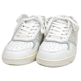 Dior White Oblique Sneakers White