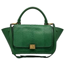 Céline Celine Trapeze Leather with Python Medium Green