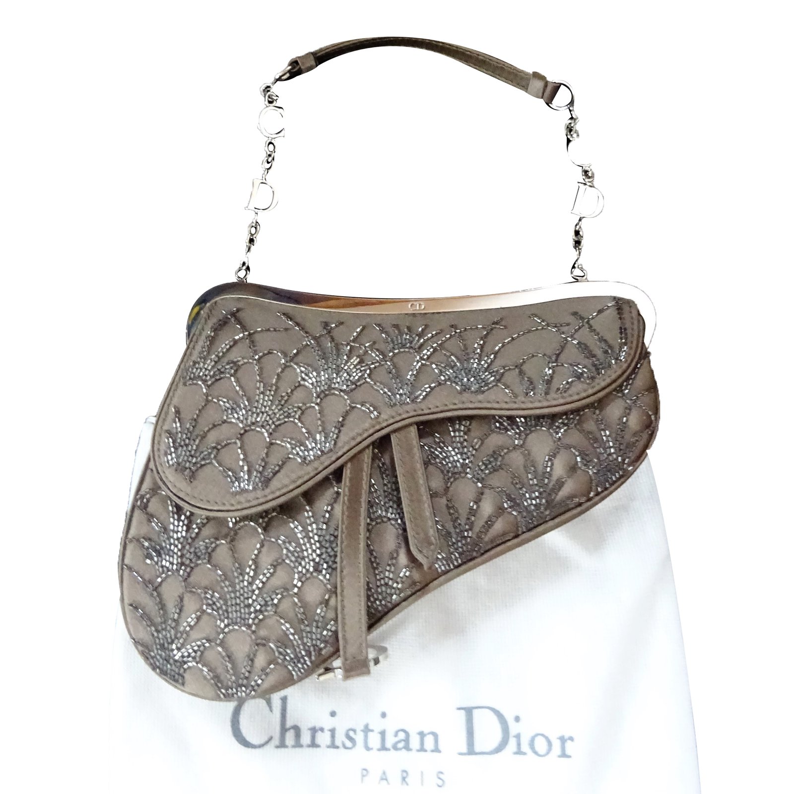 multi pochette dior