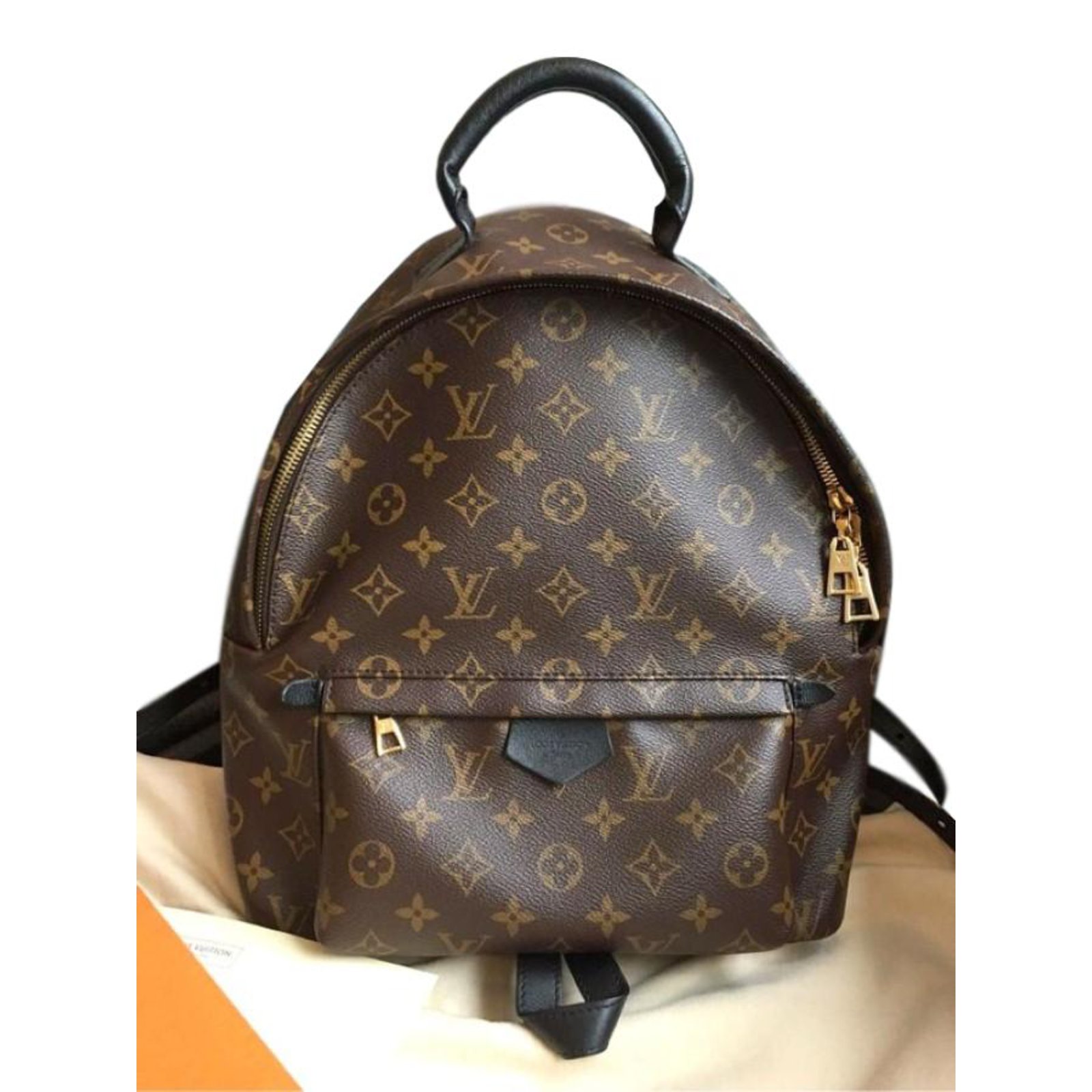 Louis Vuitton Palm springs Backpack Brown ref.59821 - Joli Closet