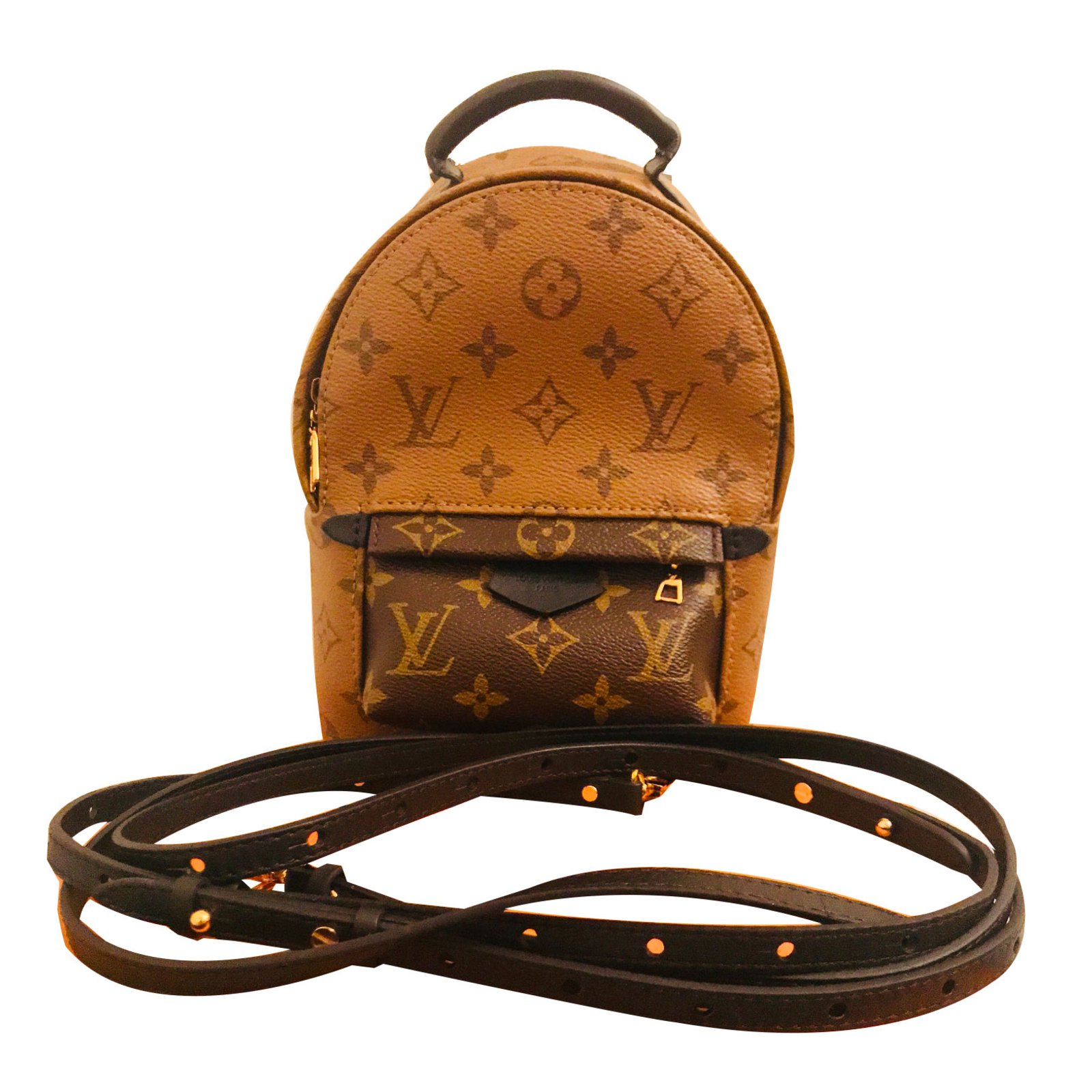 Louis Vuitton Palm Springs Mini Caramel Leather ref.61713 - Joli Closet