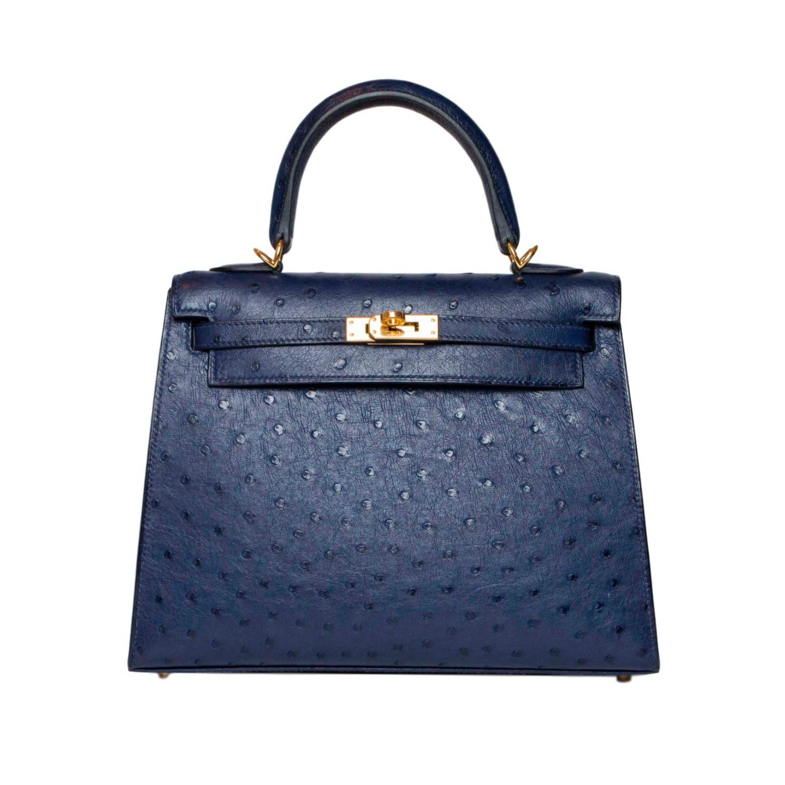 Hermès Kelly 25 Handbags Exotic leather Blue ref.63342 - Joli Closet