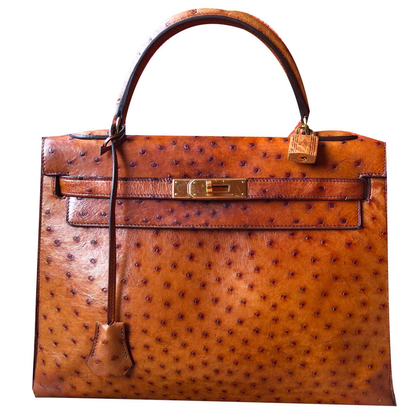 Hermès Kelly Cognac Exotic leather ref.106643 - Joli Closet