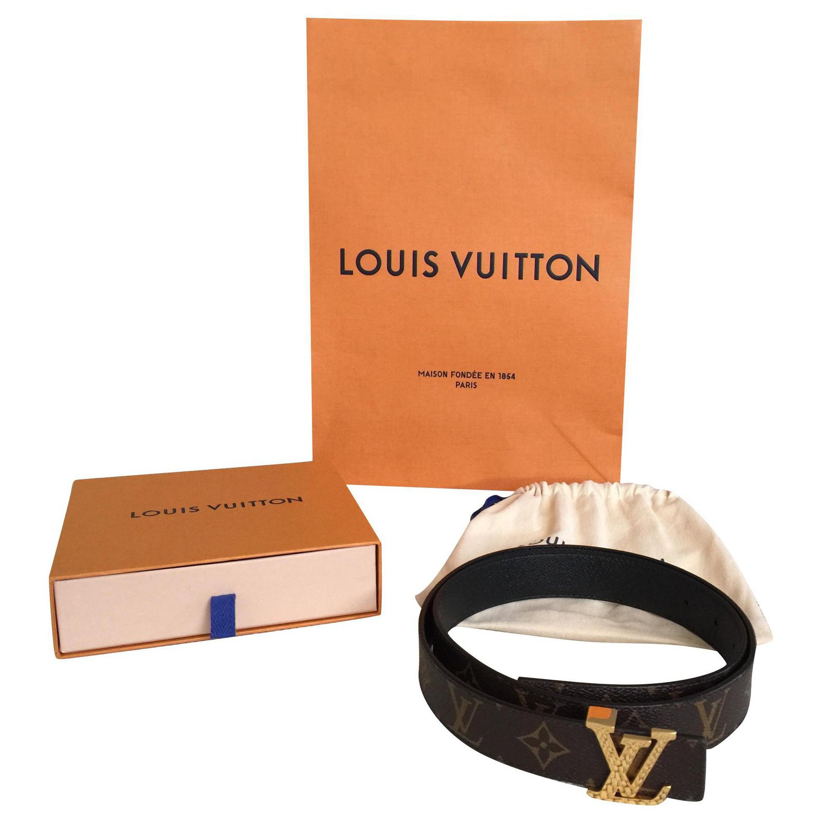 Louis Vuitton Black leather and monogram (Reversible) Multiple