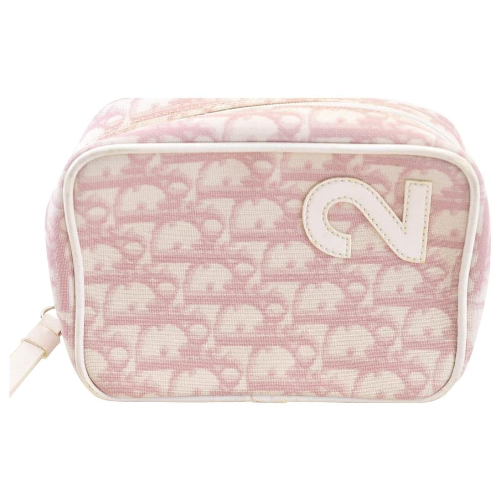 dior trotter clutch