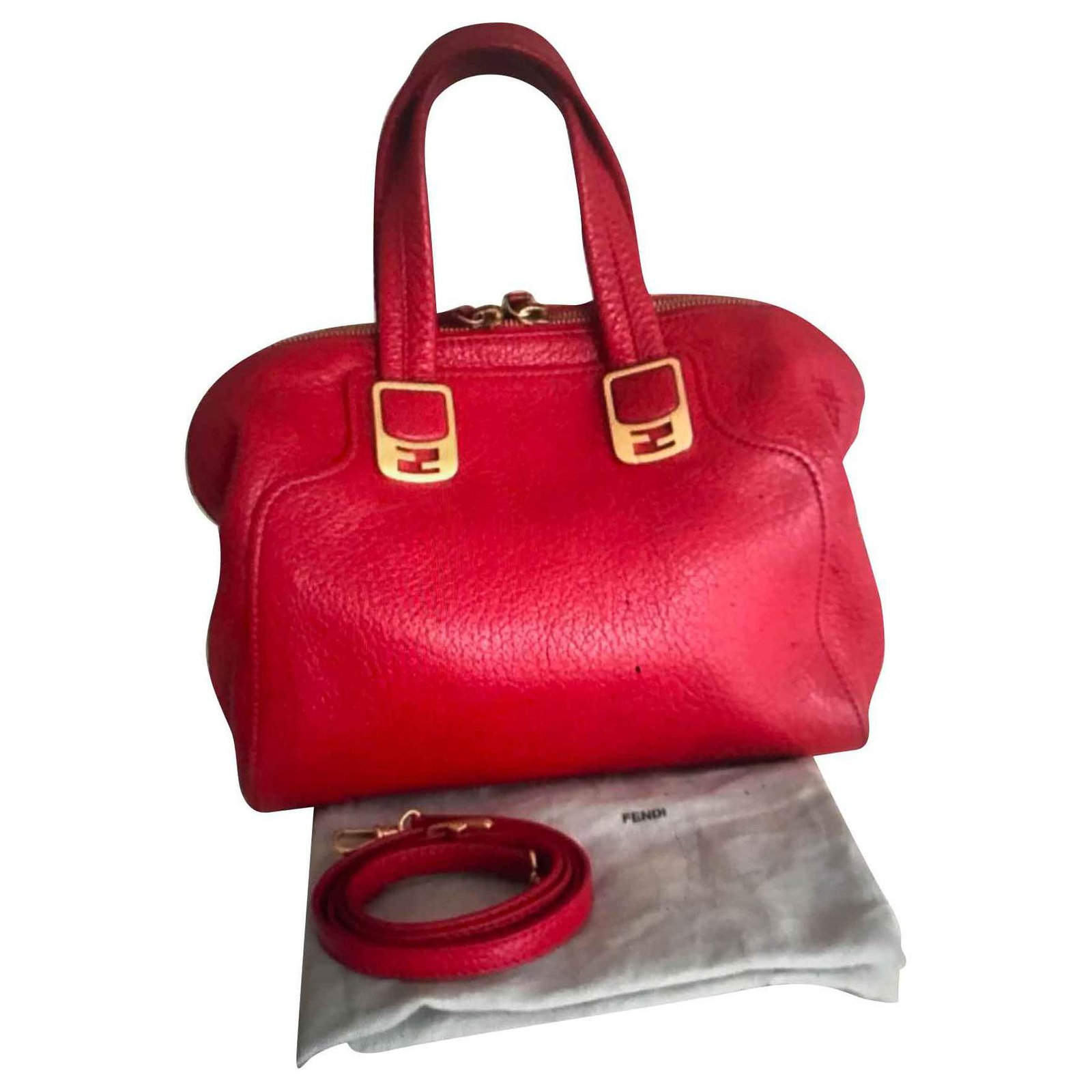 Red Chameleon Bag