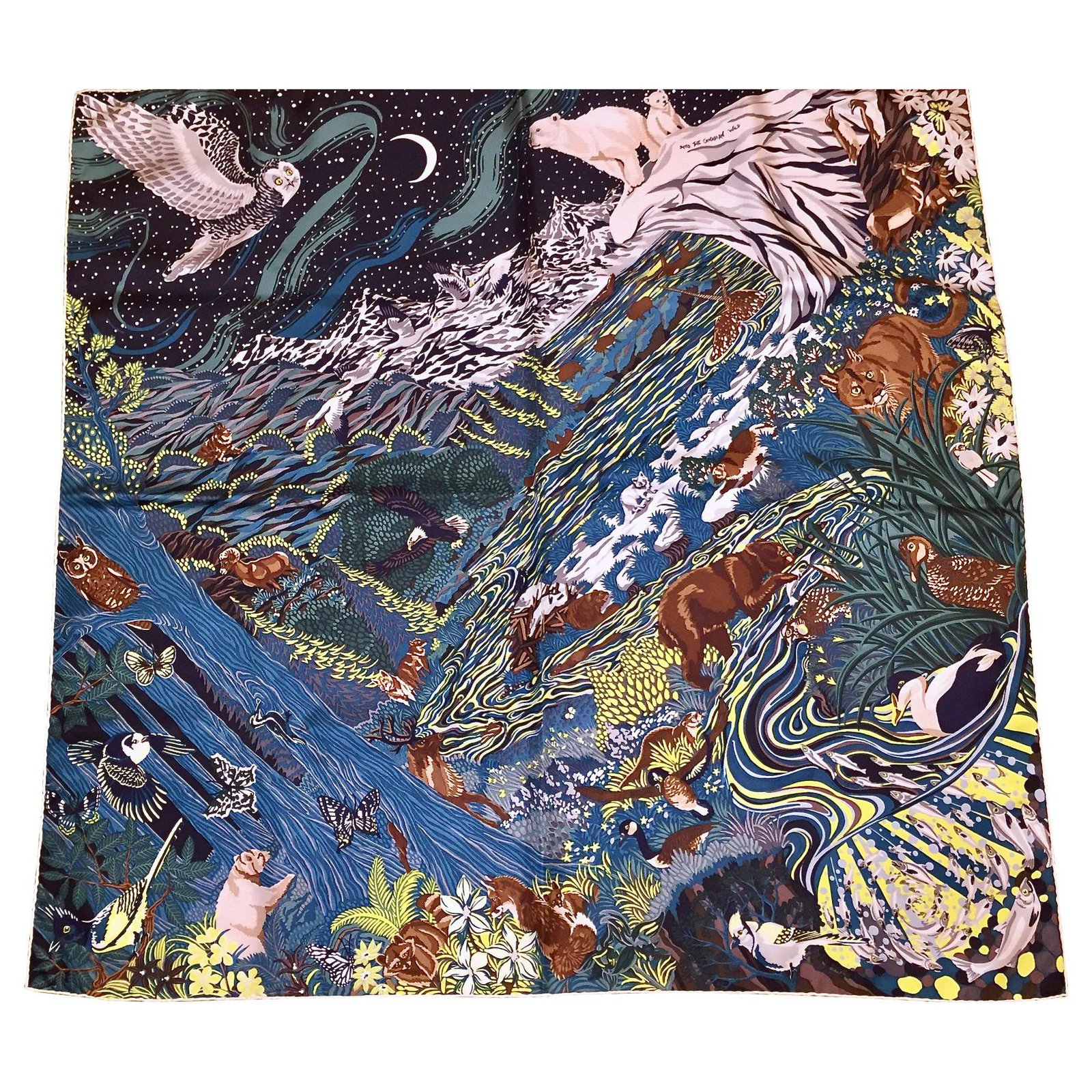 Hermès INTO the CANADIAN WILD Scarves 