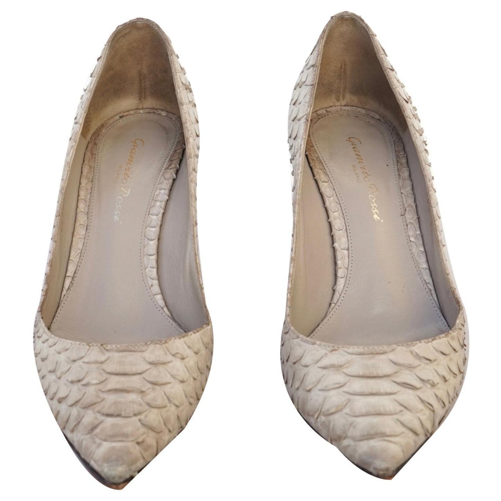 gianvito rossi python pumps