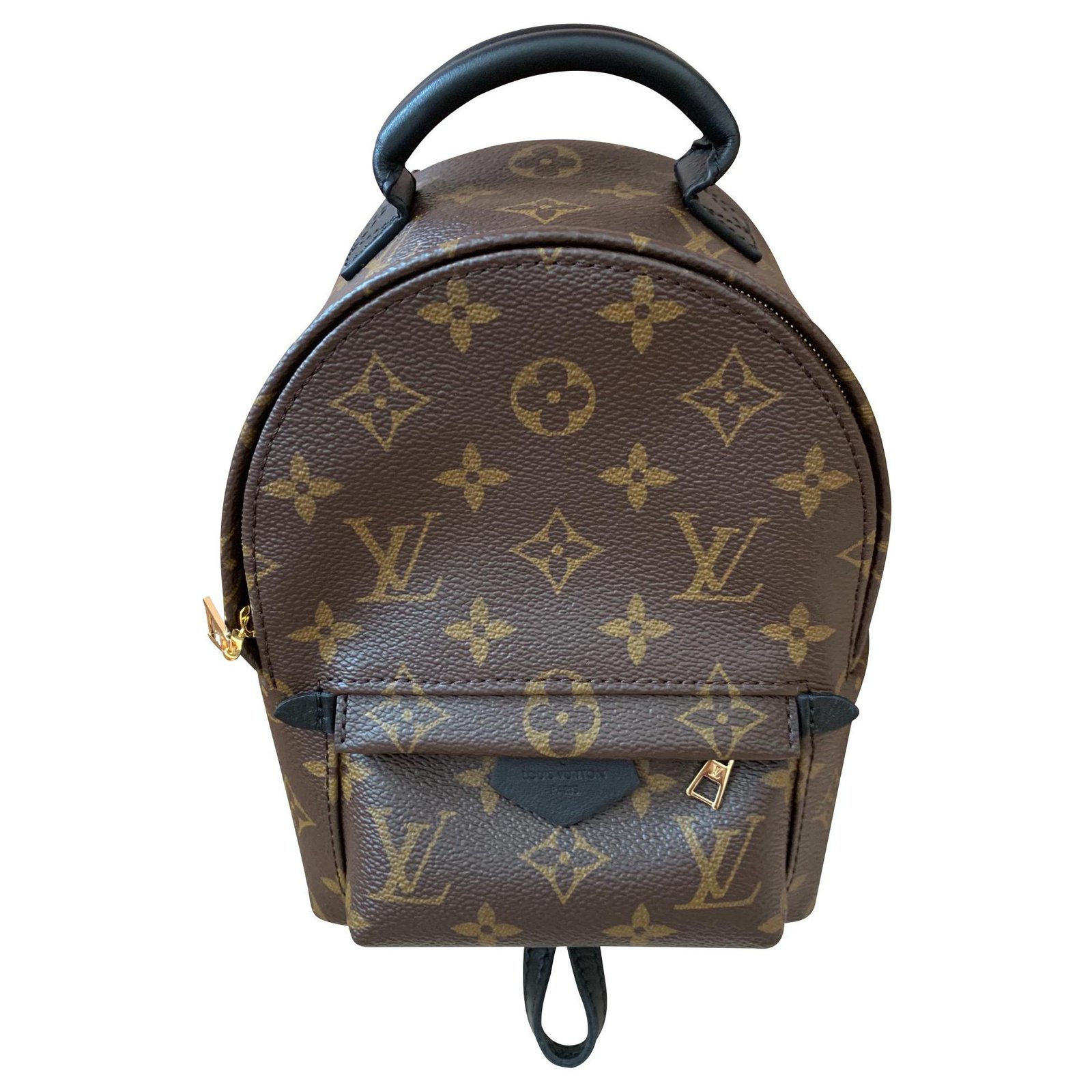 Louis Vuitton, Bags, Palm Spring Mini Backpack