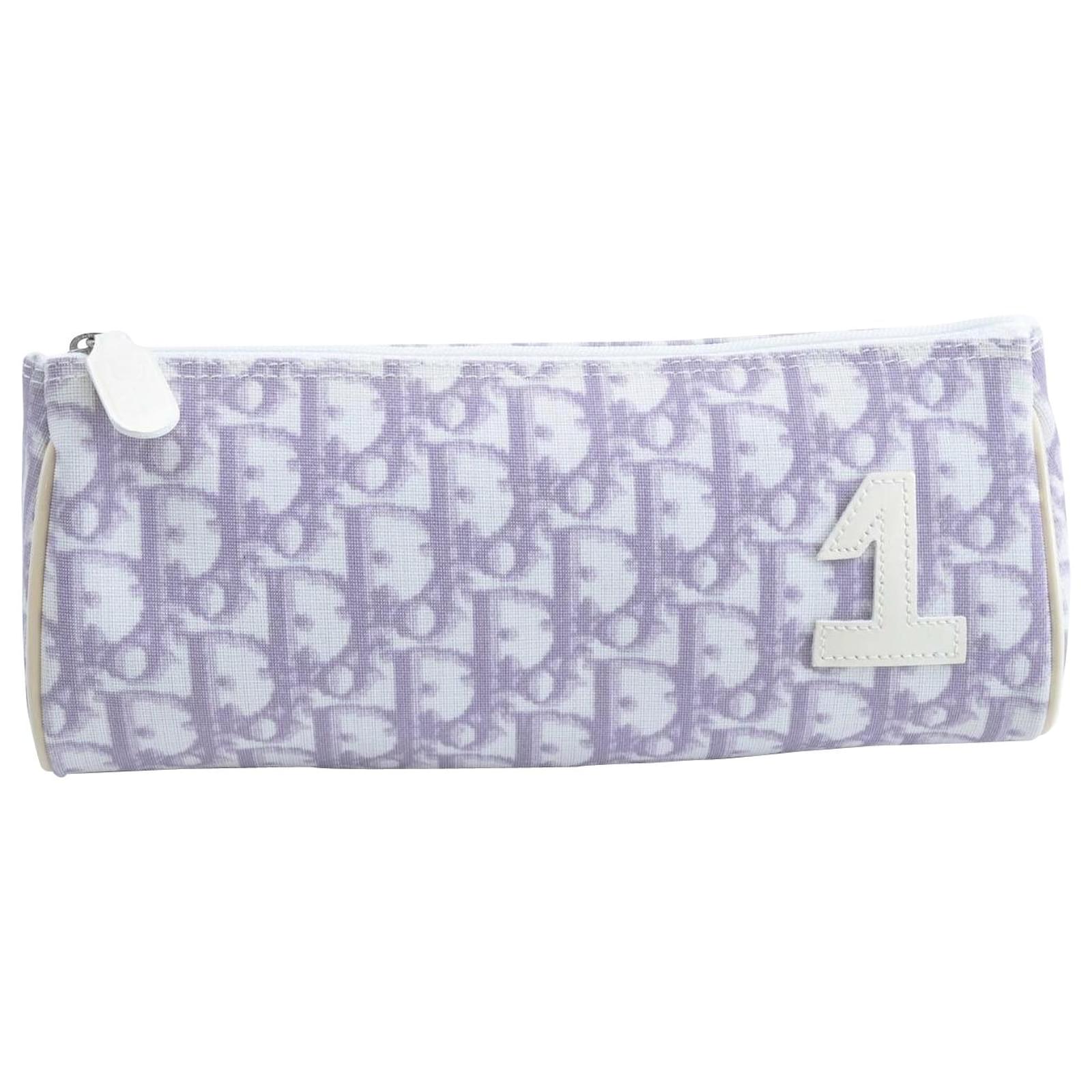 christian dior plastic bag