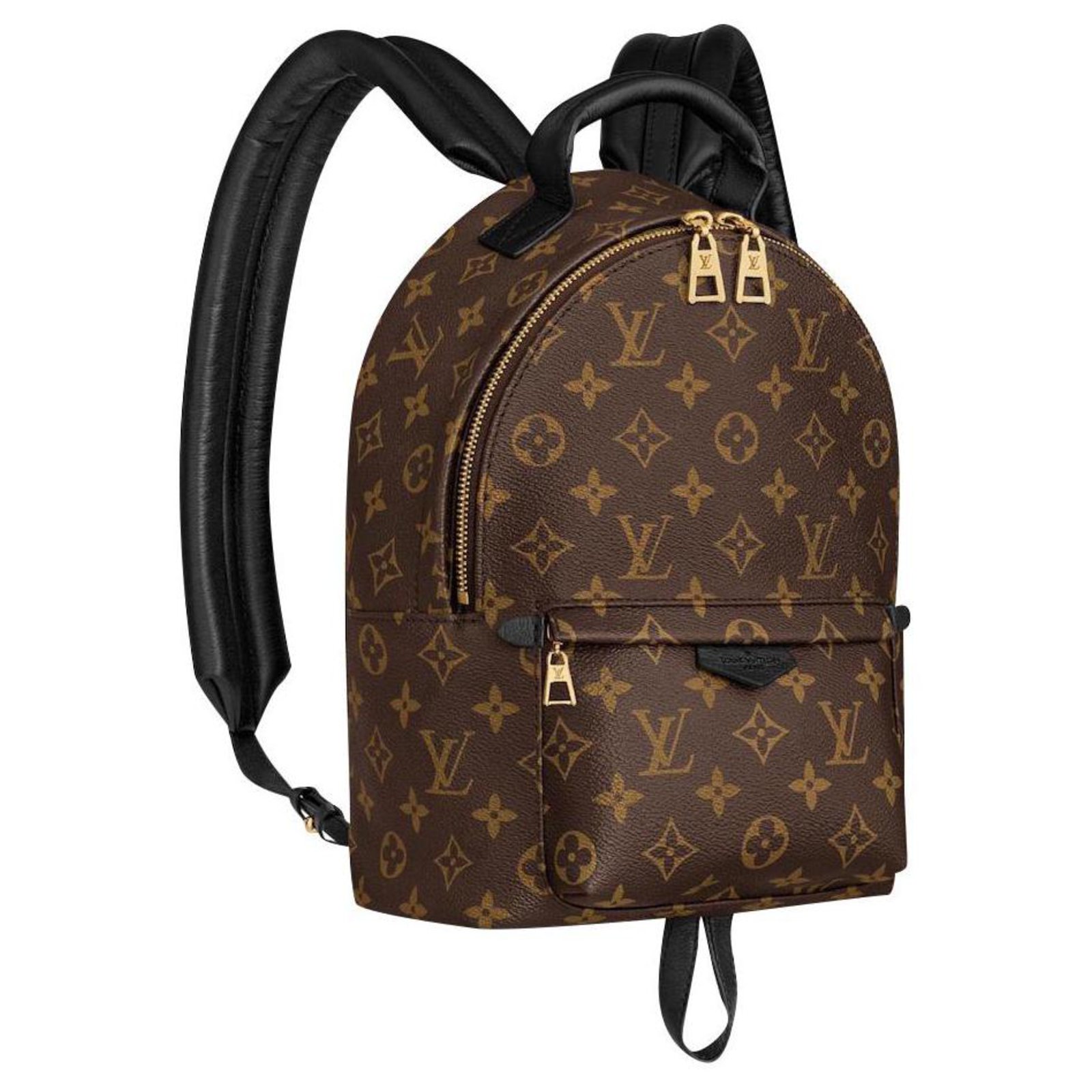 Backpacks Louis Vuitton Louis Vuitton Backpack New Palm Springs