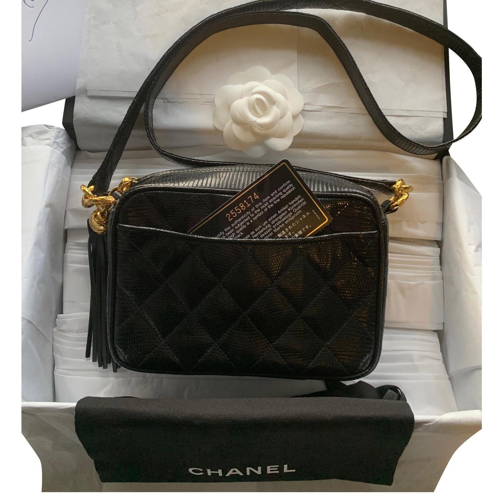 Chanel Camera Bag Black Exotic leather  - Joli Closet