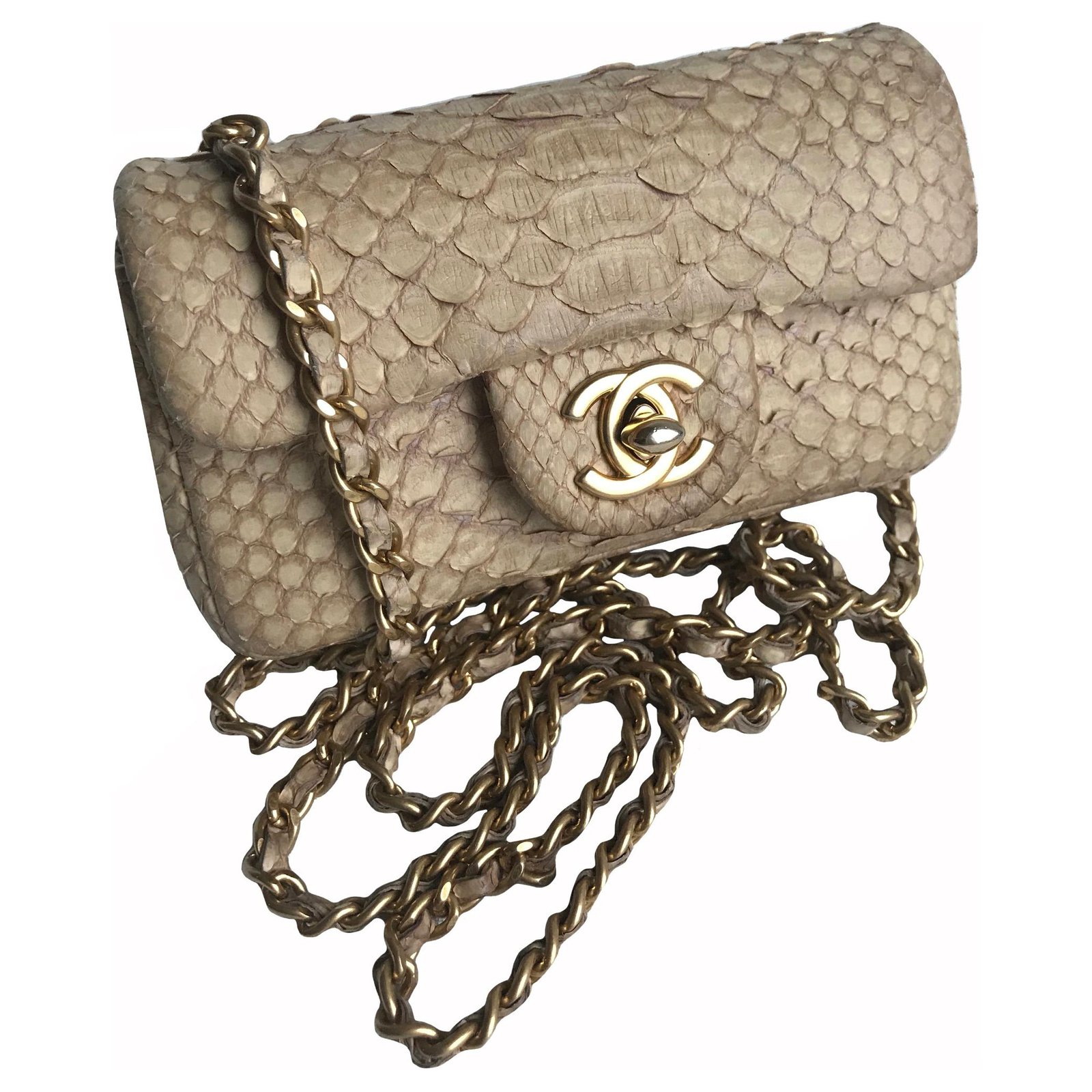 Timeless Mini Flap Bag luxurious python