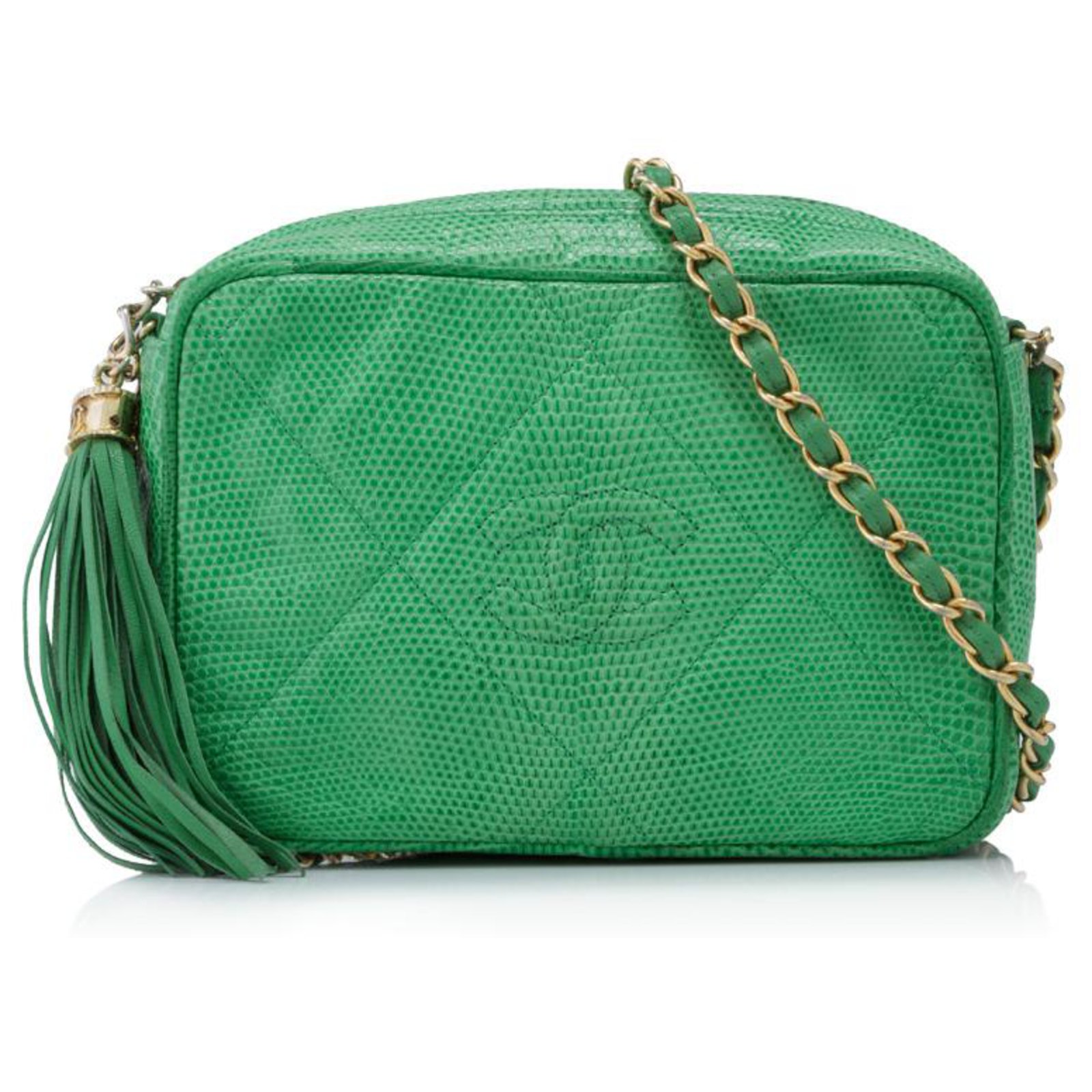 Chanel Green CC Lizard Leather Camera Bag ref.175144 - Joli Closet